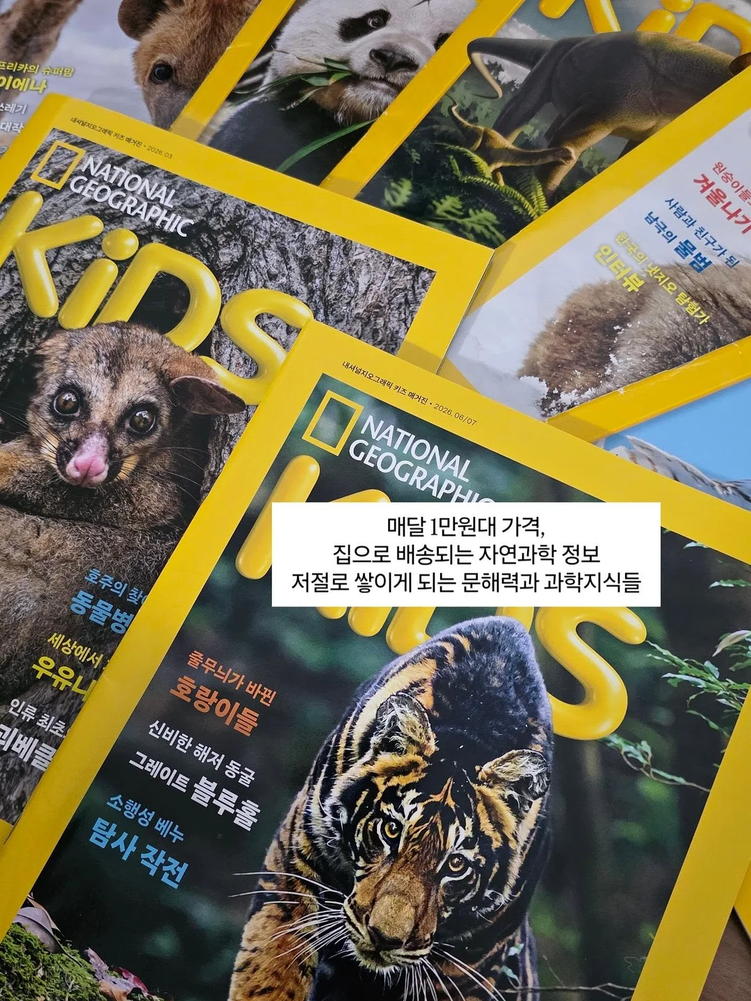 두위씨 심리스 속옷 5