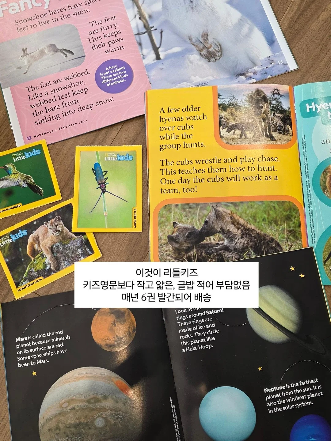 두위씨 심리스 속옷 8
