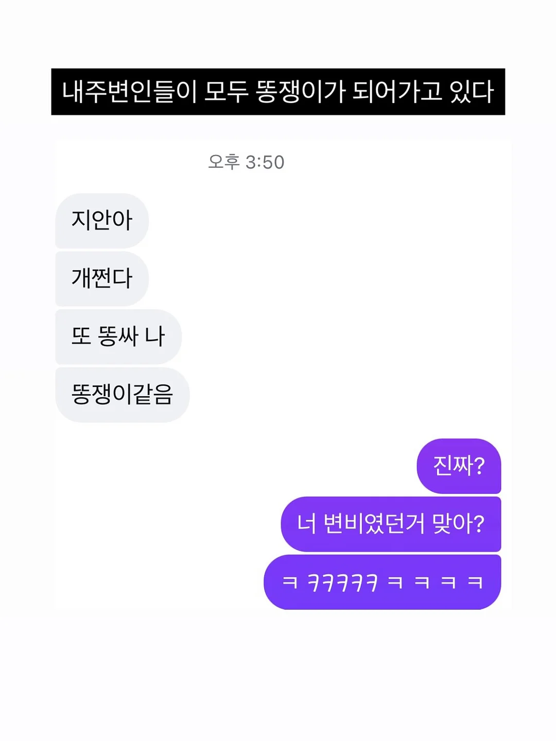 스페인 계란요리 트러플 또르띠아 13