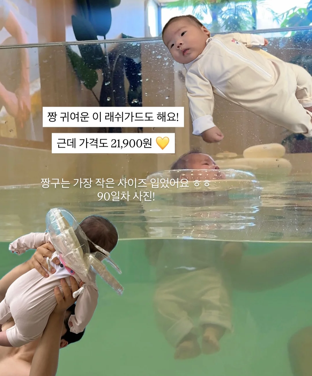 sugar bunny 팬츠 2