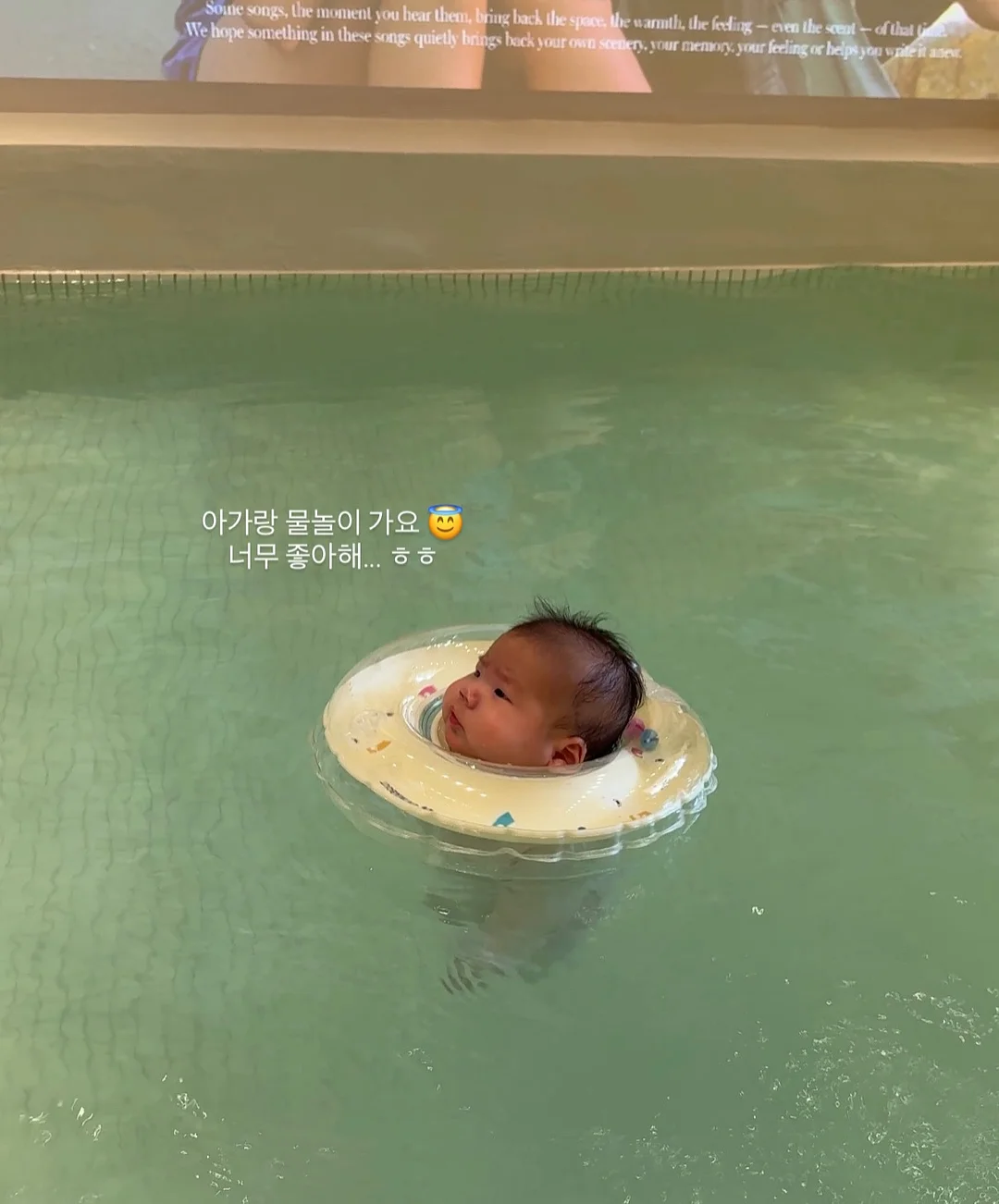 sugar bunny 팬츠 9