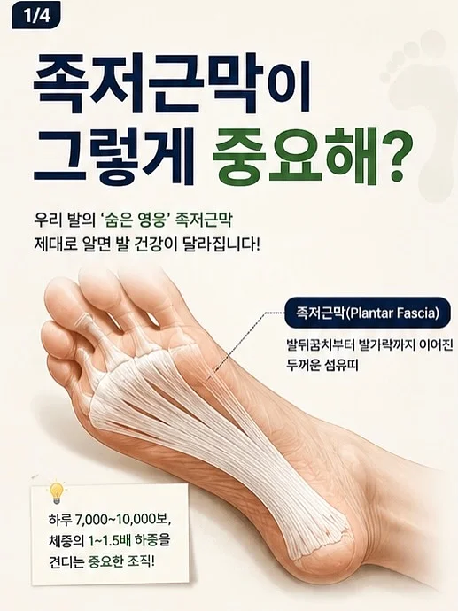 앙금 1