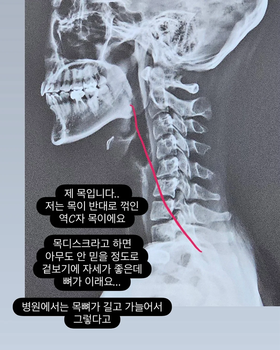 본죽 부추꼬막무침 소용량 2