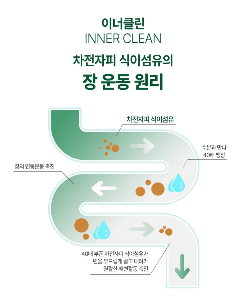 캐스키드슨 와일드로즈 앤 퀸스 인덜전트 4종 세트 12