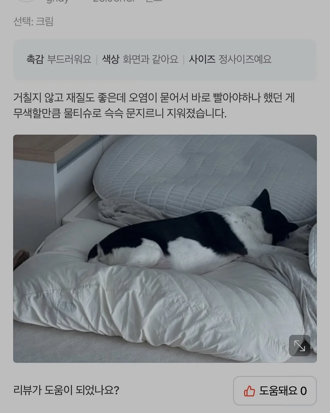 리틀피기 여름 신상 16