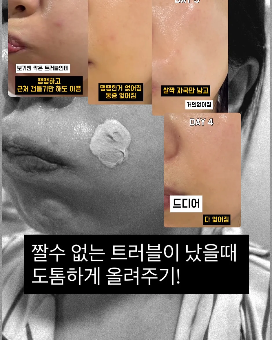 고양이 우주선 가방 4