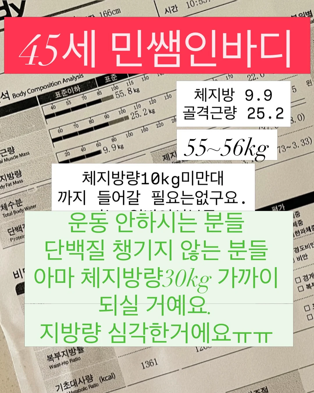 Barbapapa 쇼핑백 2
