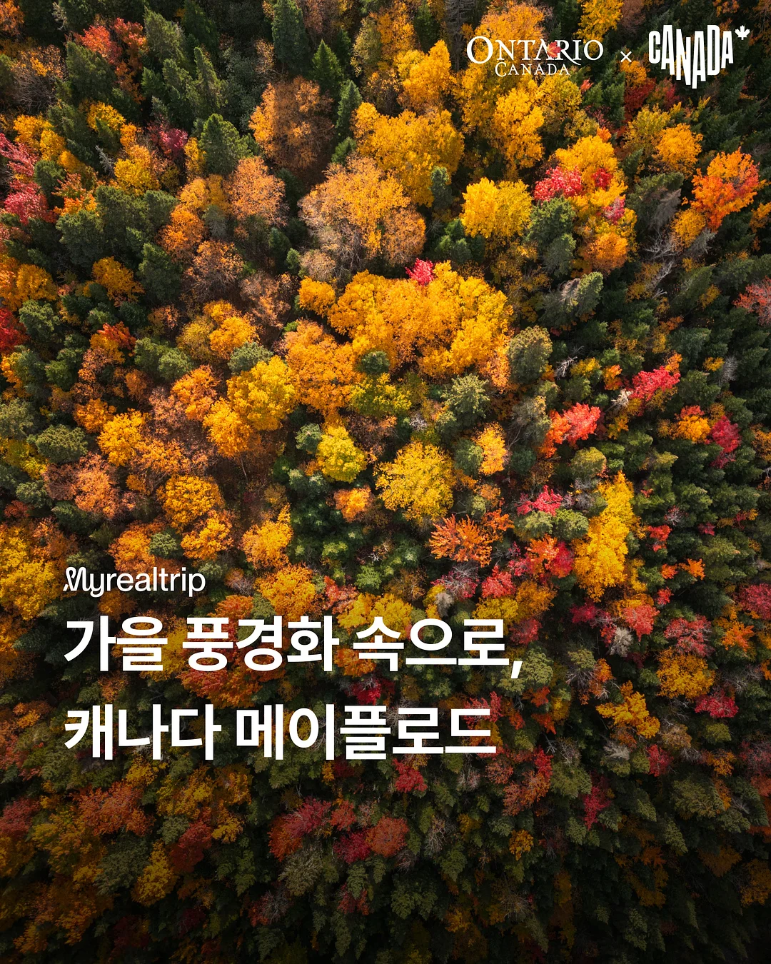 학급현황판 반명패 도안 1