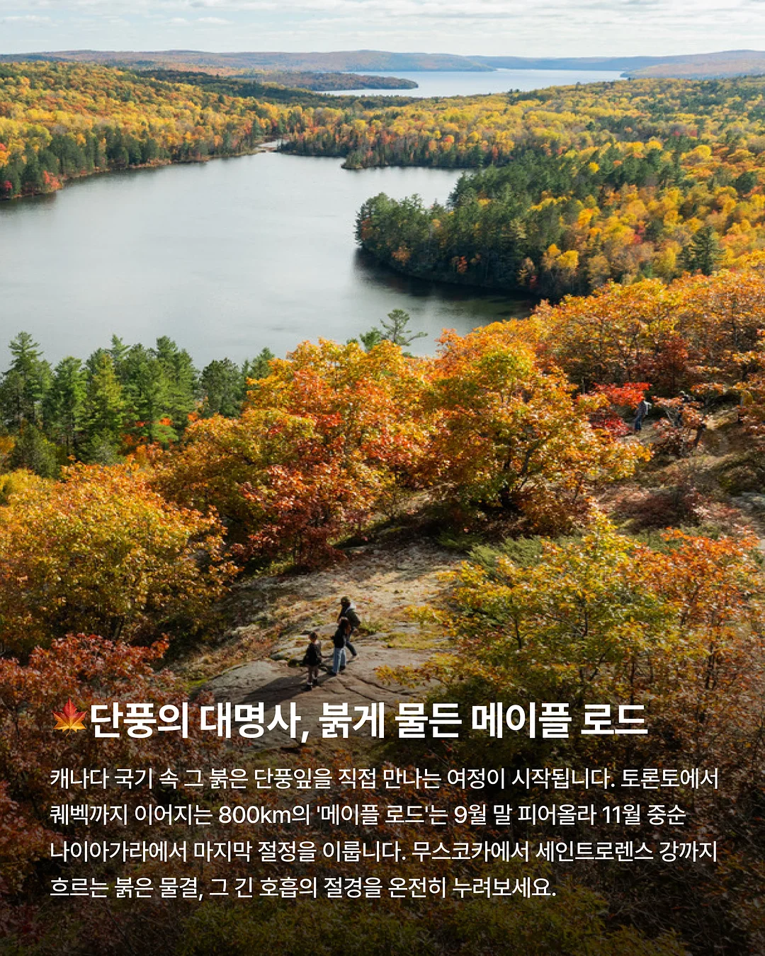 학급현황판 반명패 도안 2