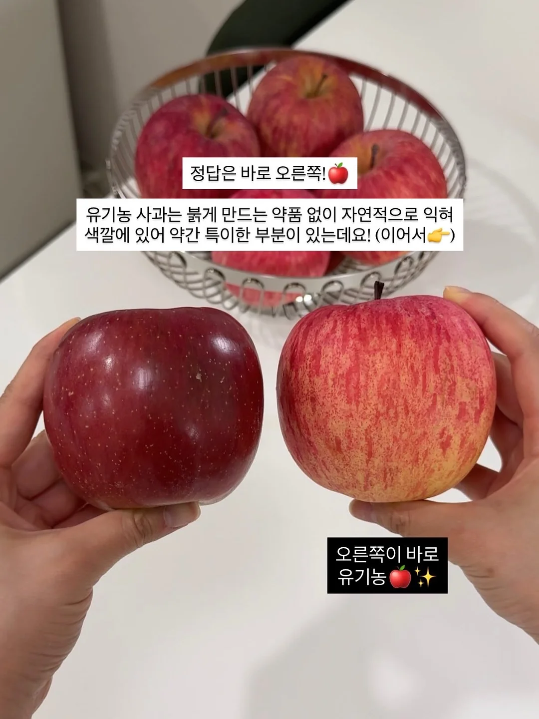 리엔뷰티 복합기 테크니션 클래스 4