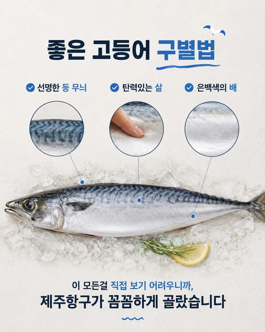 닥터포헤어 폴리젠 샴푸 2