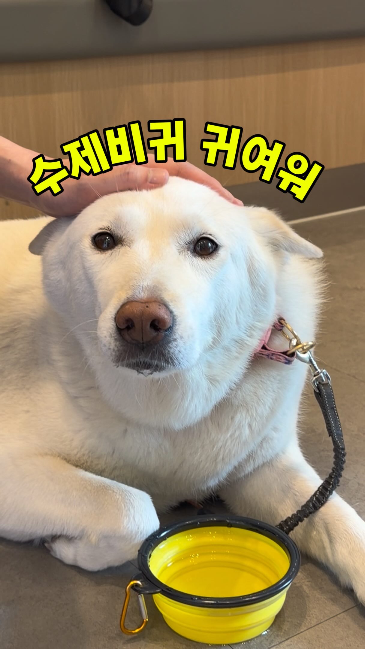 리바이 린넨 블라우스