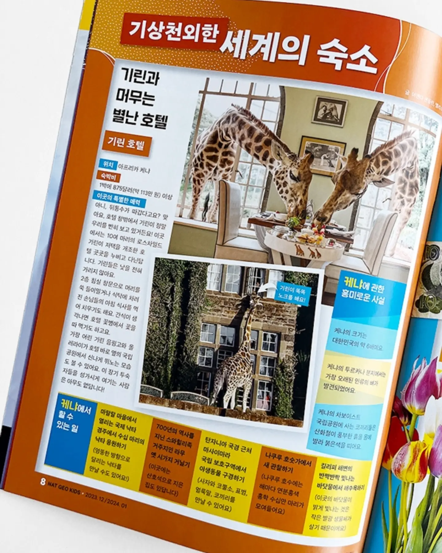 새치 헤어스프레이 11