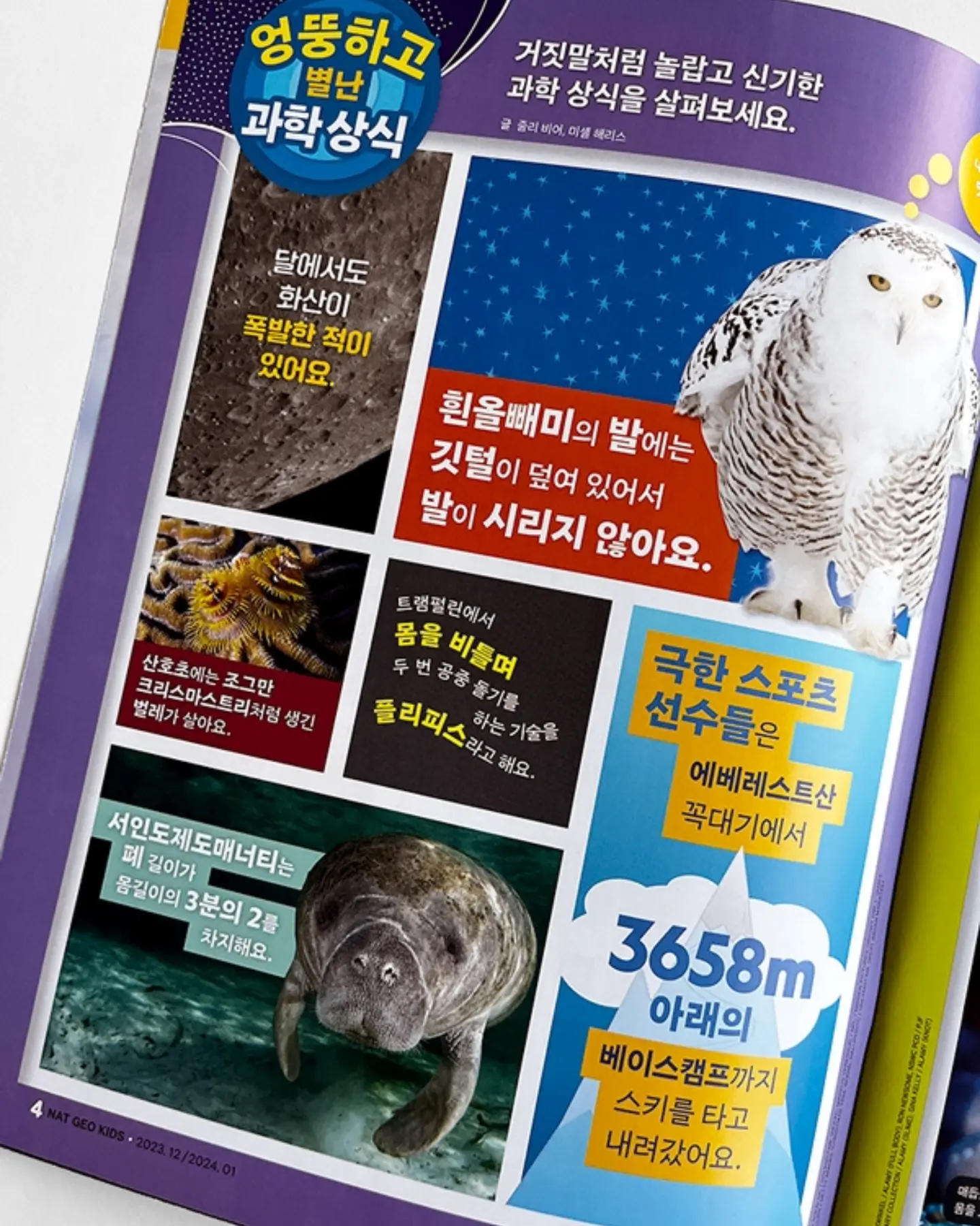 새치 헤어스프레이 7