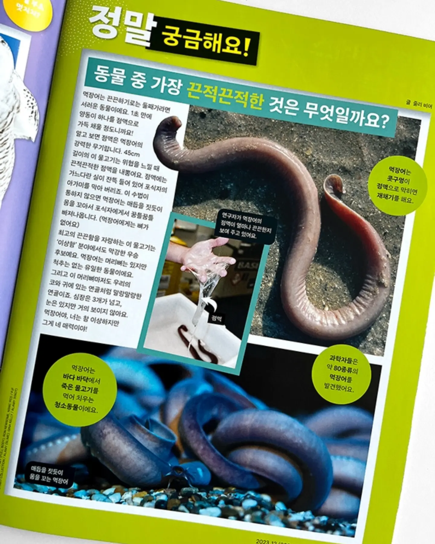 새치 헤어스프레이 8