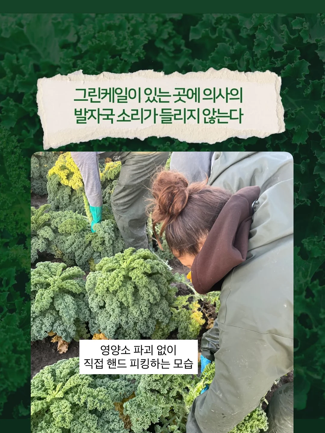 Gems 프롬프트 템플릿 13