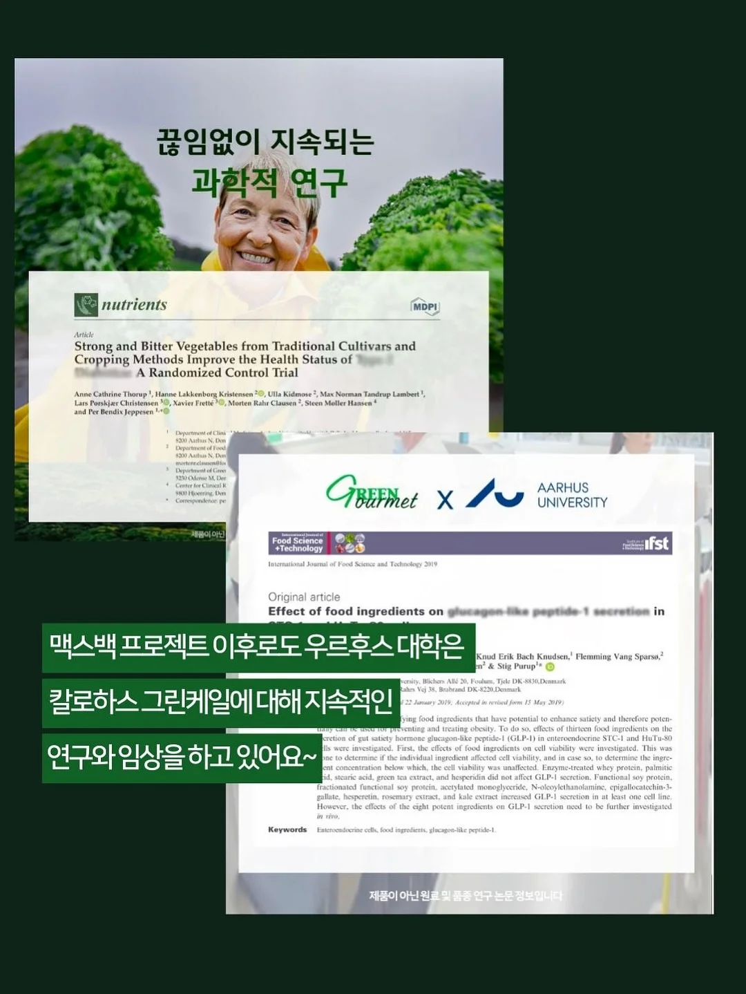 Gems 프롬프트 템플릿 14