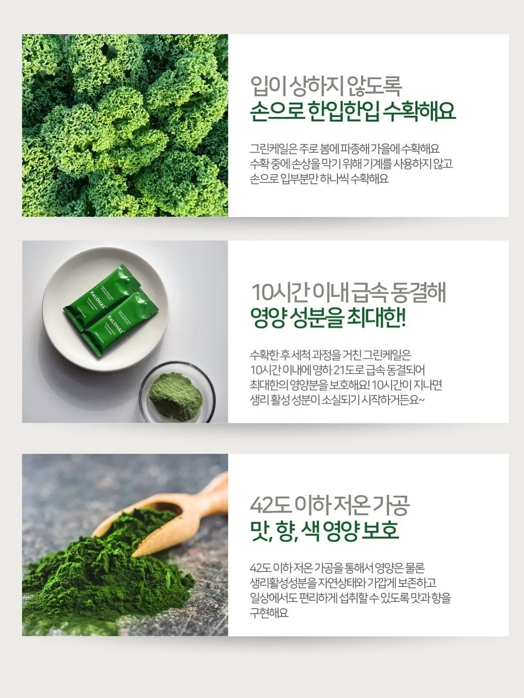 Gems 프롬프트 템플릿 15