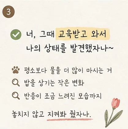 메타코미디클럽 HONGDAE 띠부띠부씰 3
