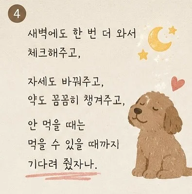 메타코미디클럽 HONGDAE 띠부띠부씰 4