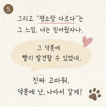 메타코미디클럽 HONGDAE 띠부띠부씰 5