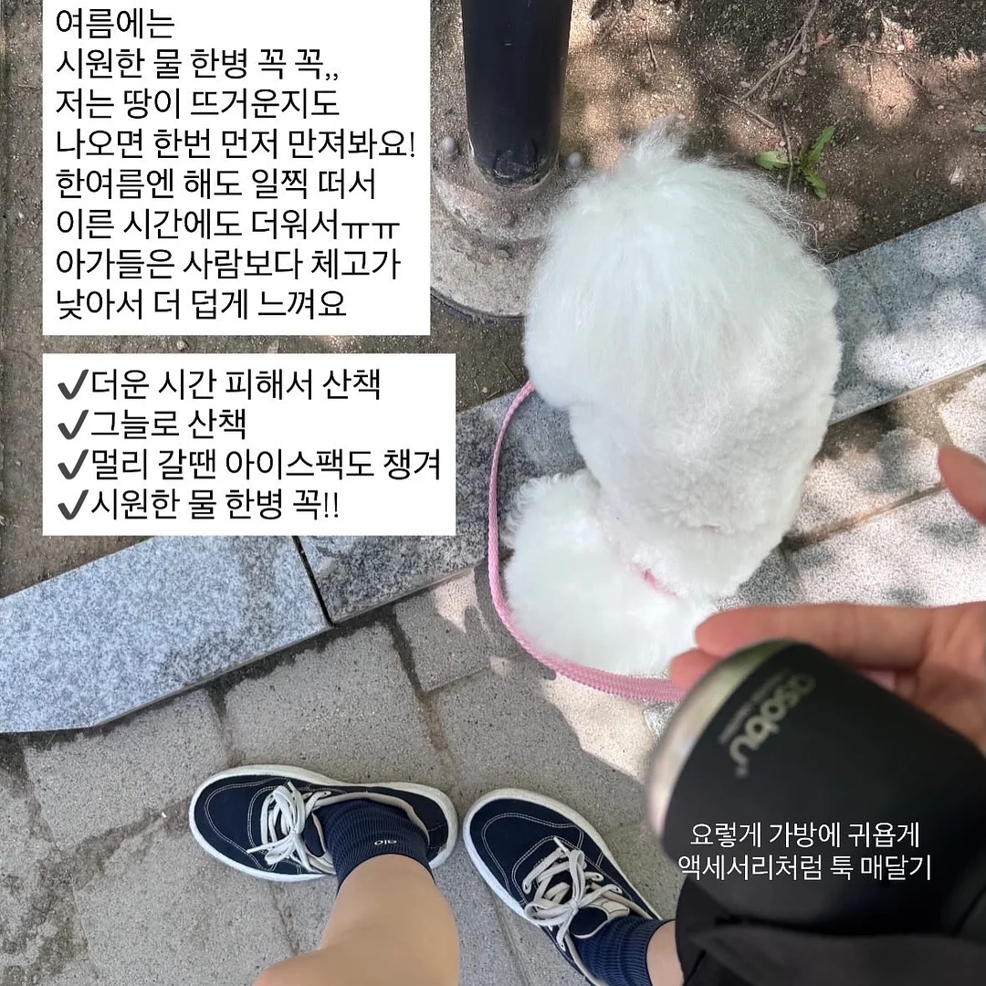 사사와시 여름 슬리퍼 6