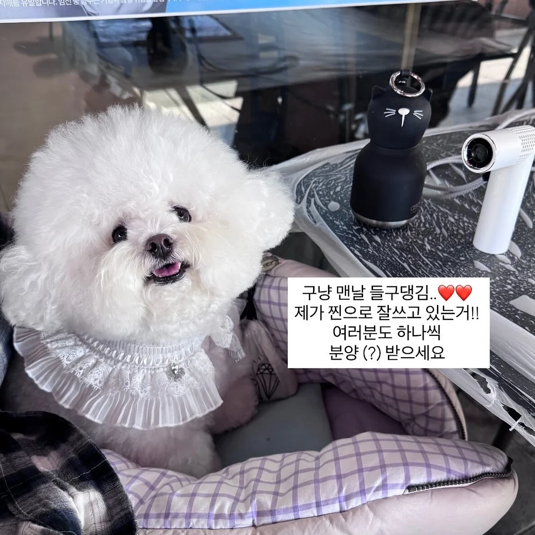 사사와시 여름 슬리퍼 7