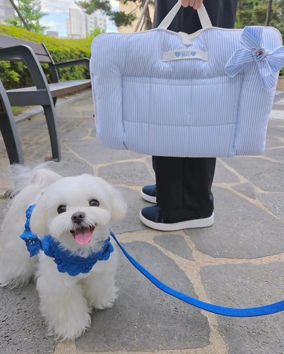 시에나 헤리티지 워싱 셋업 3