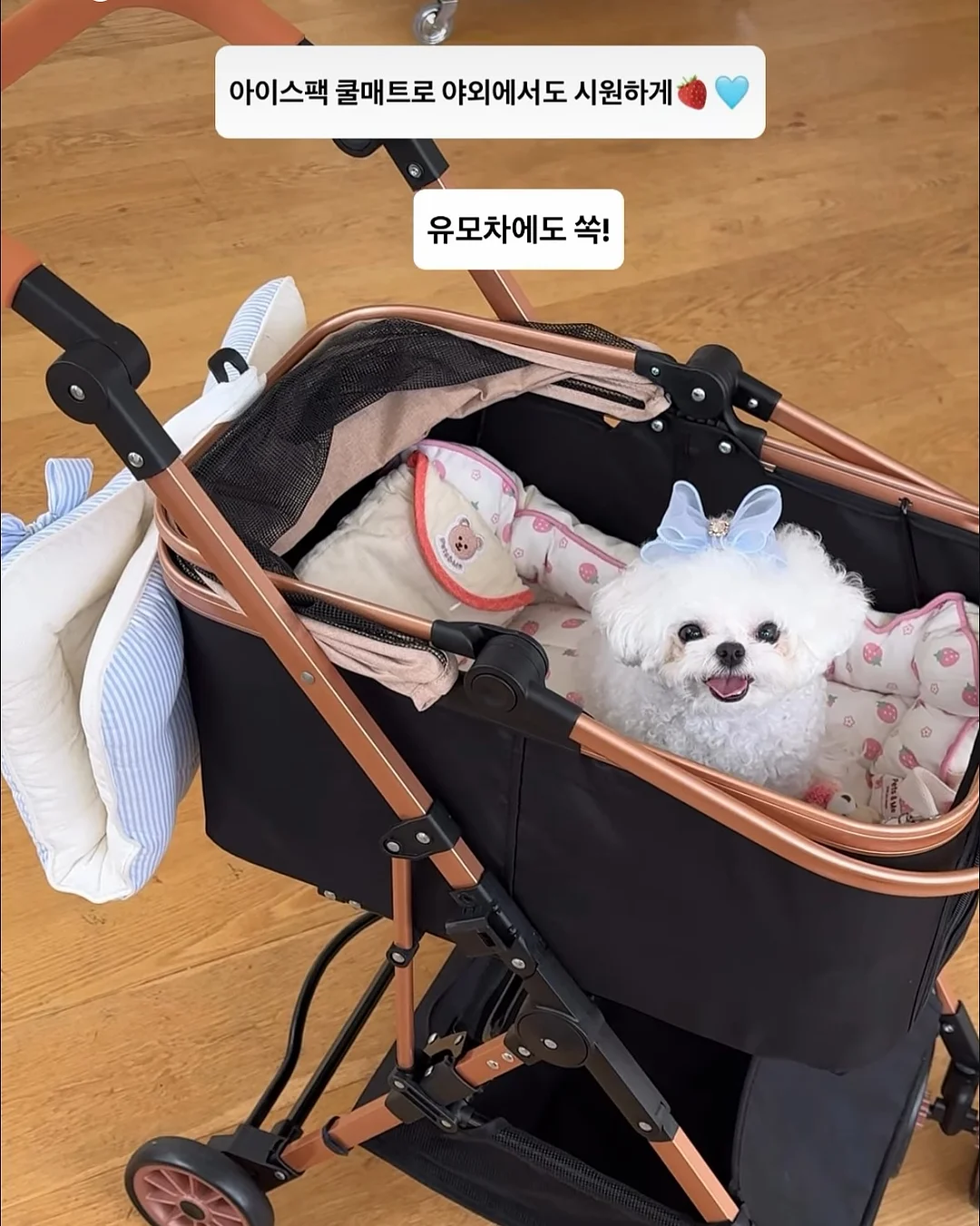 시에나 헤리티지 워싱 셋업 9