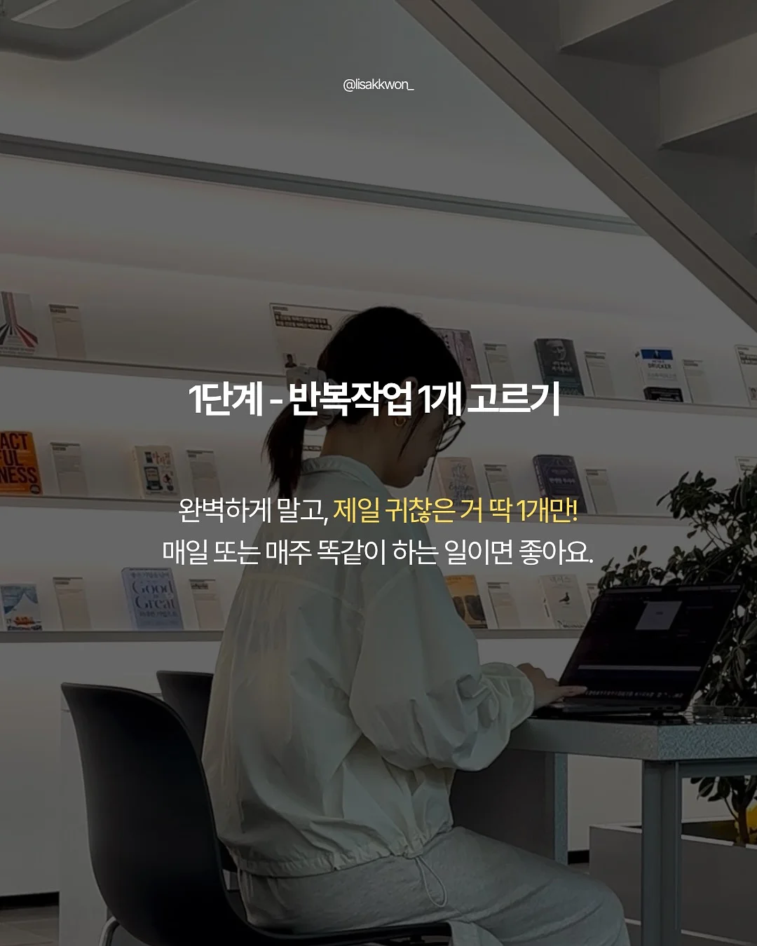 여름하루팩 3