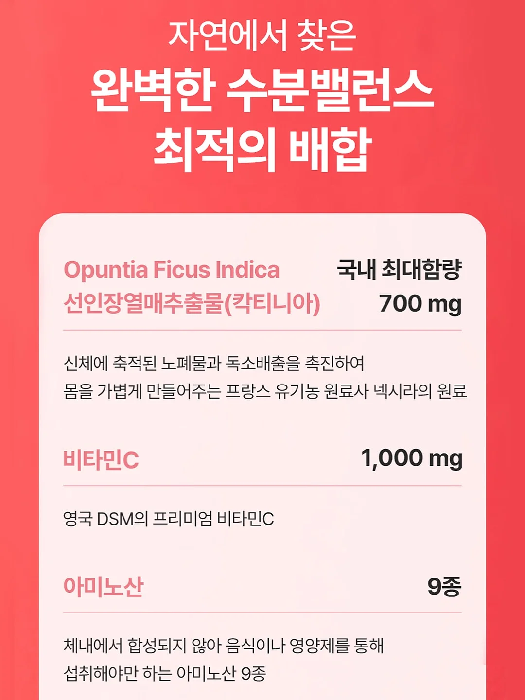 내가 사랑한 예술가들 6
