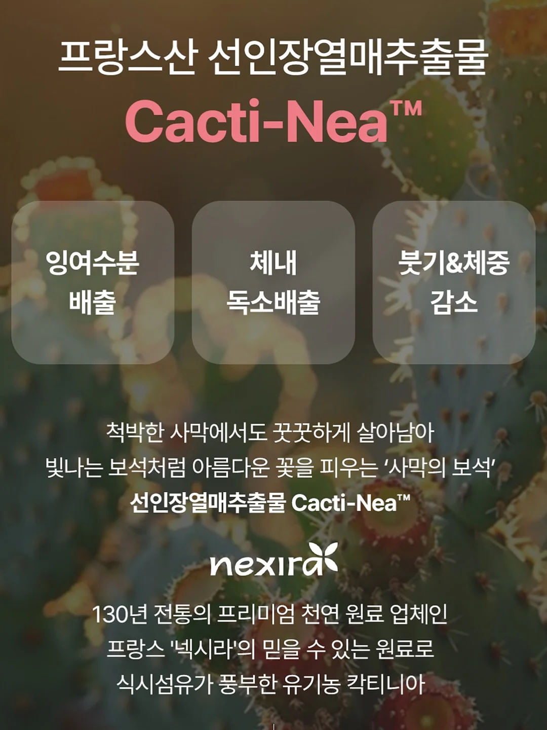 내가 사랑한 예술가들 7