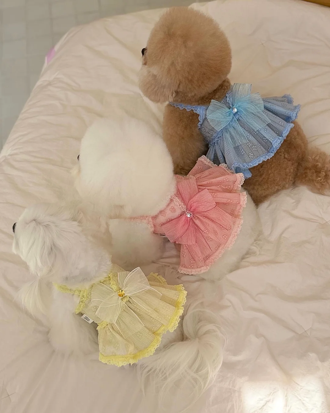 스파오 쿨진 3