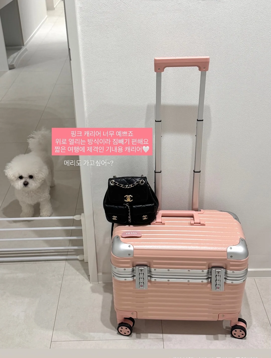 가방 실리콘 아이패드 케이스 2