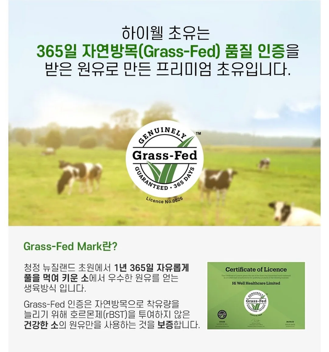 아물레또 오리지널 조명 9