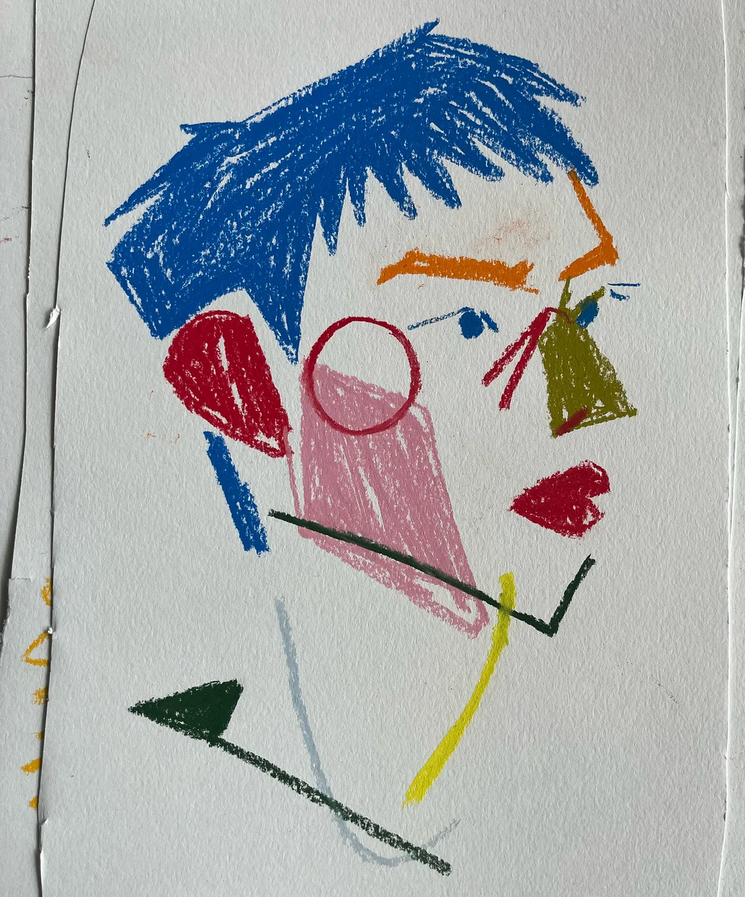 미드퍼 반려묘 반려견 하우스 6