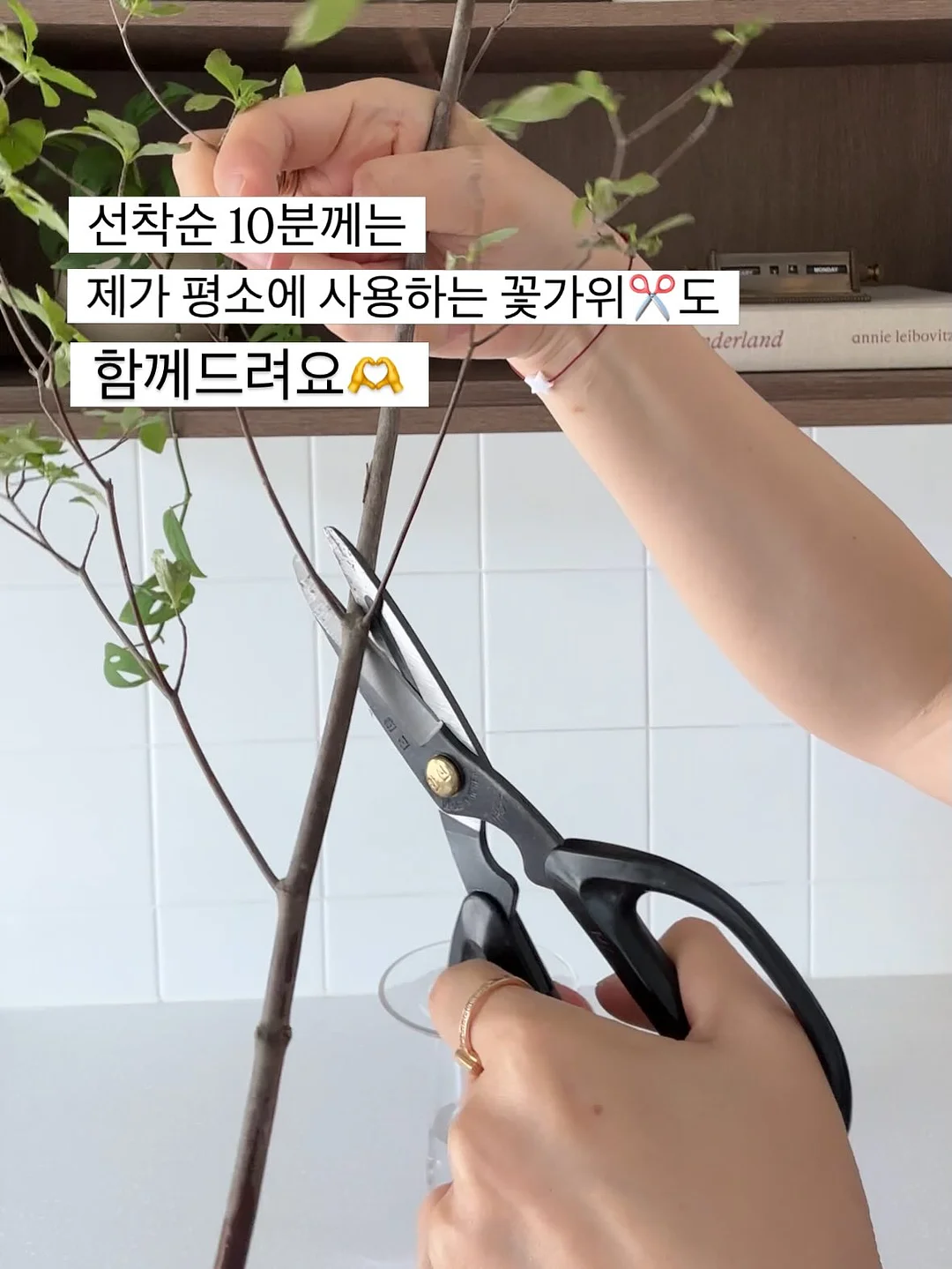 씨솔트 말차 아몬드 카라멜 토피스 6