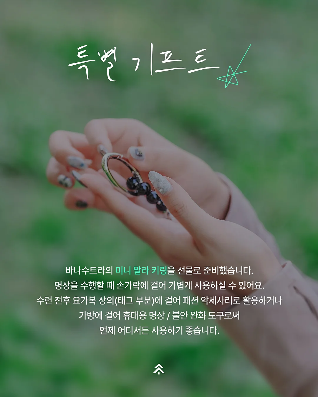 블랙 다이아몬드 토마토 3