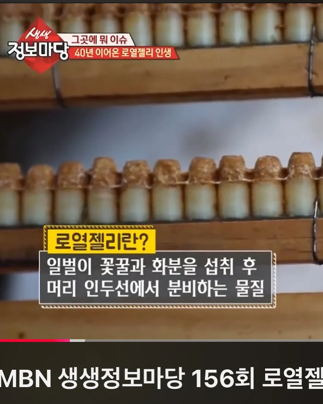 아르뫼 김치 19