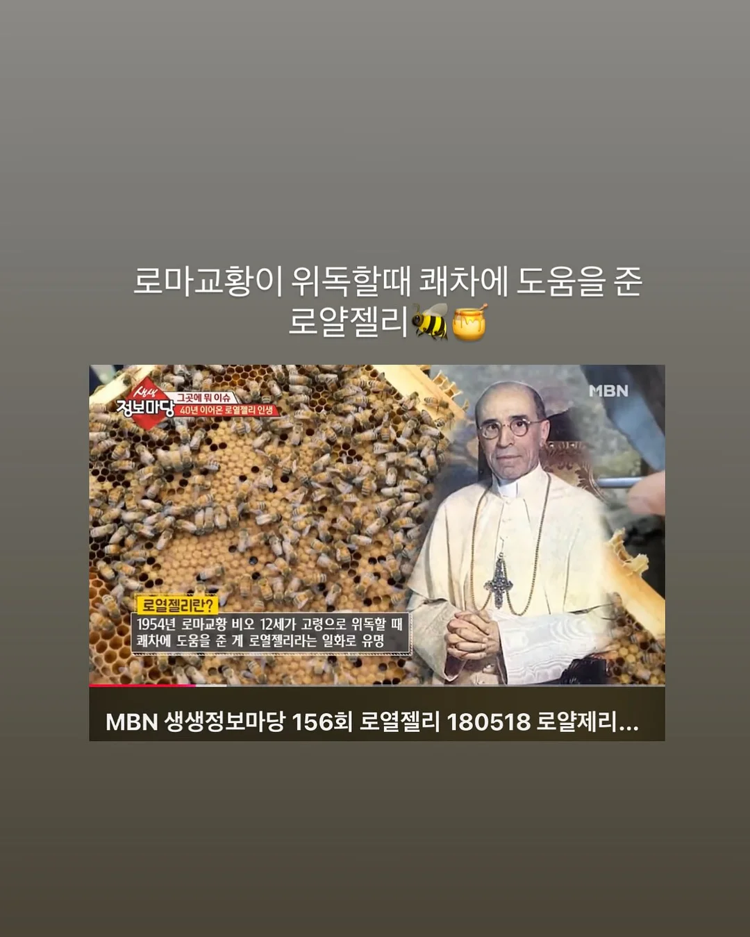 아르뫼 김치 20