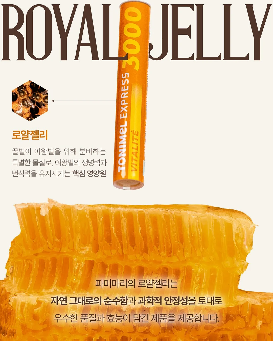 아르뫼 김치 10