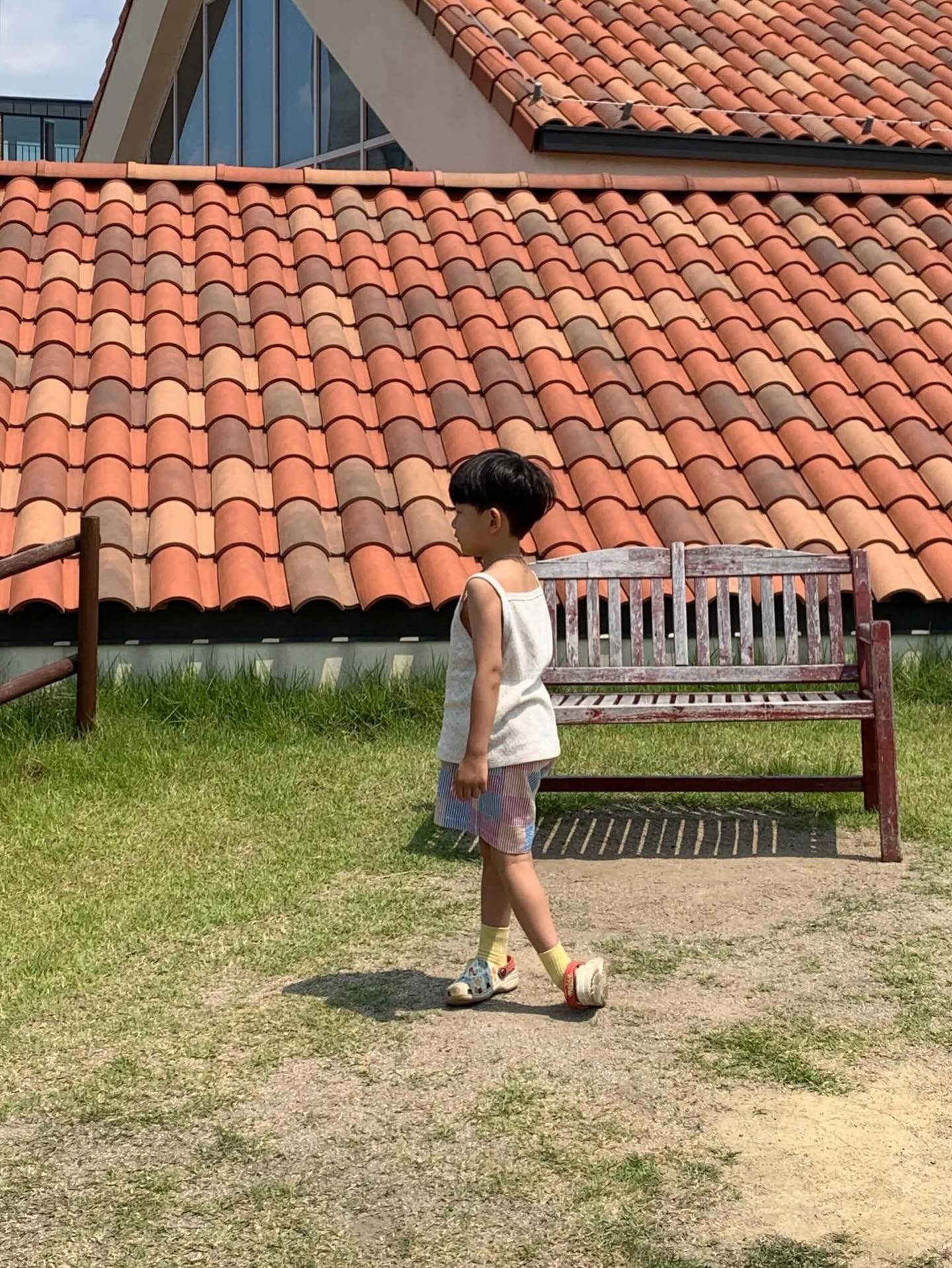 알로 백 3