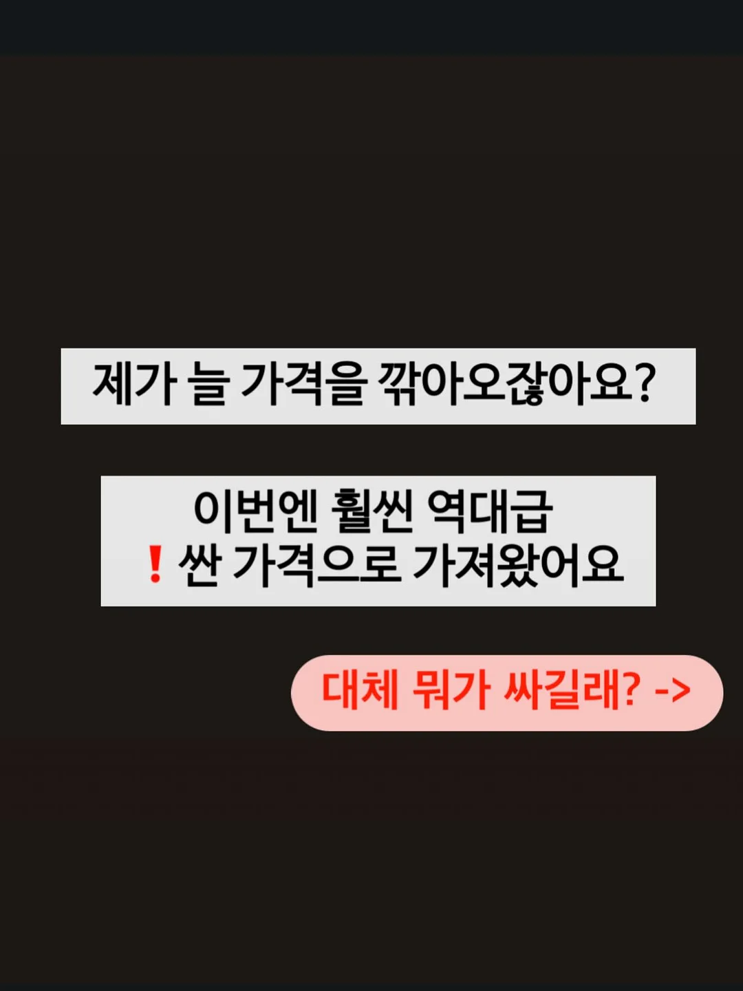 투웨이백팩 2
