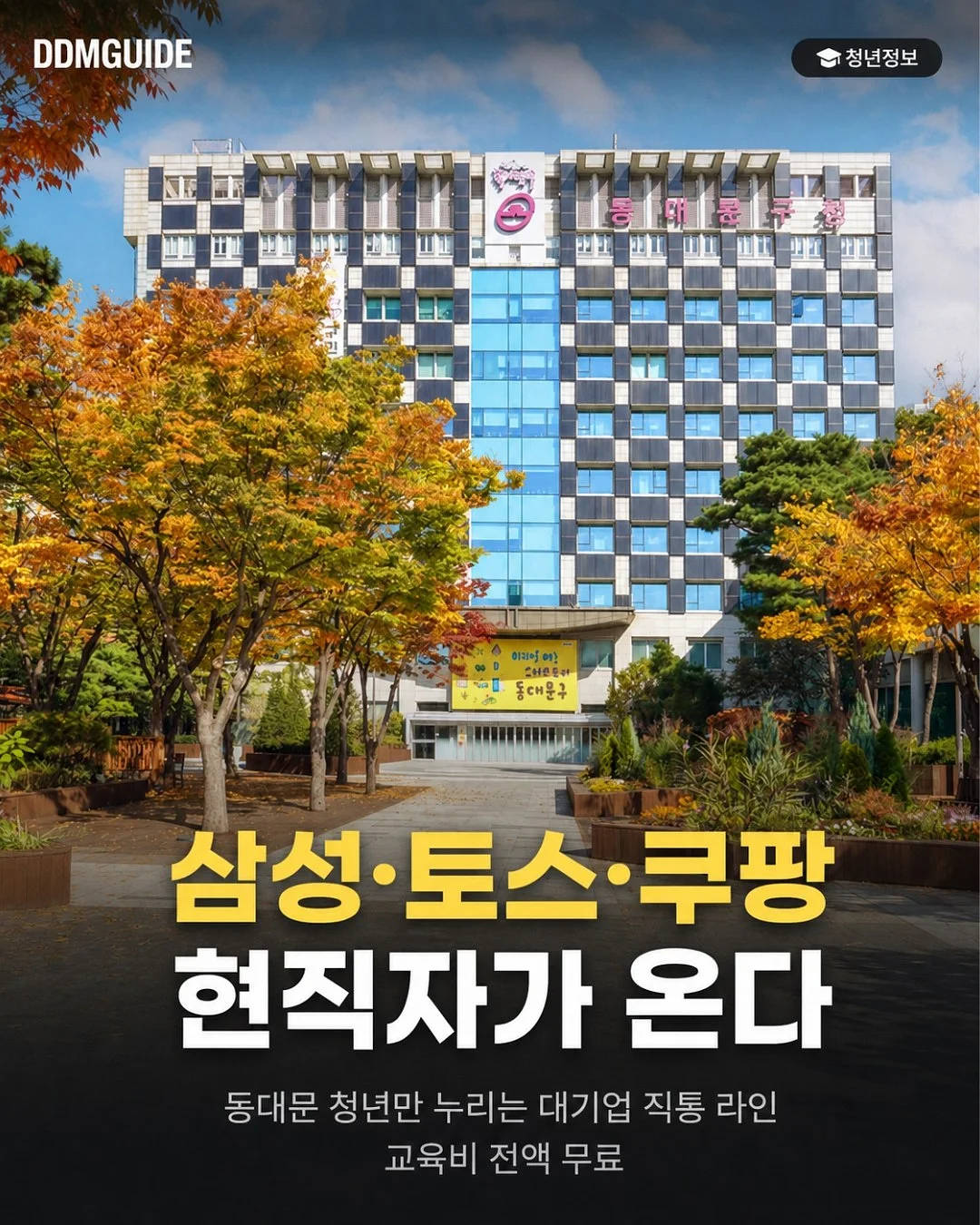 타야 콤부차 1
