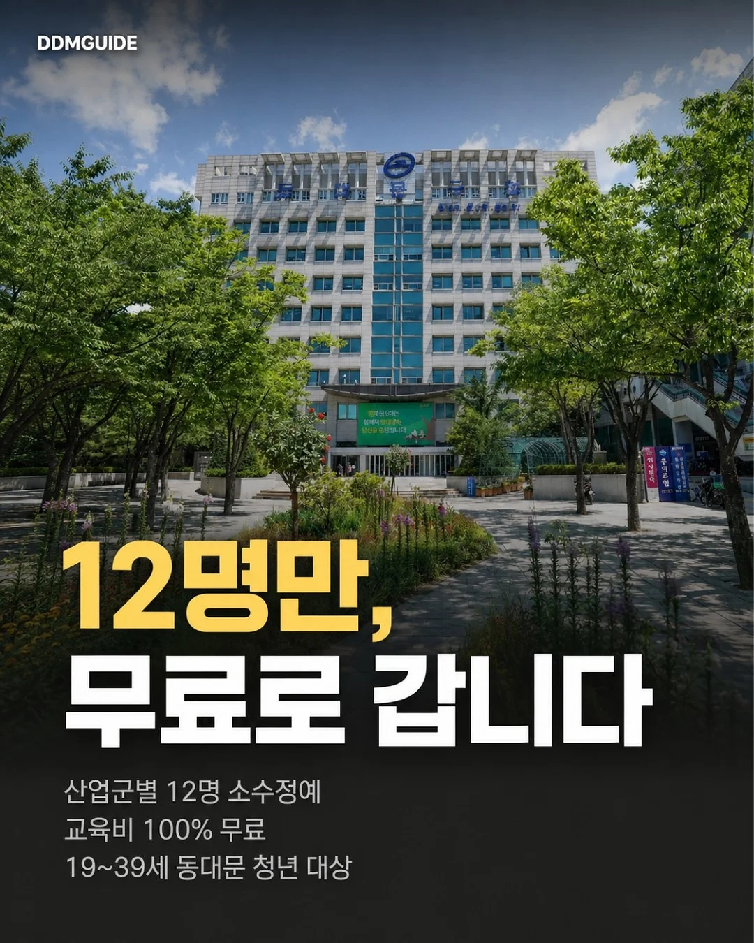 타야 콤부차 2