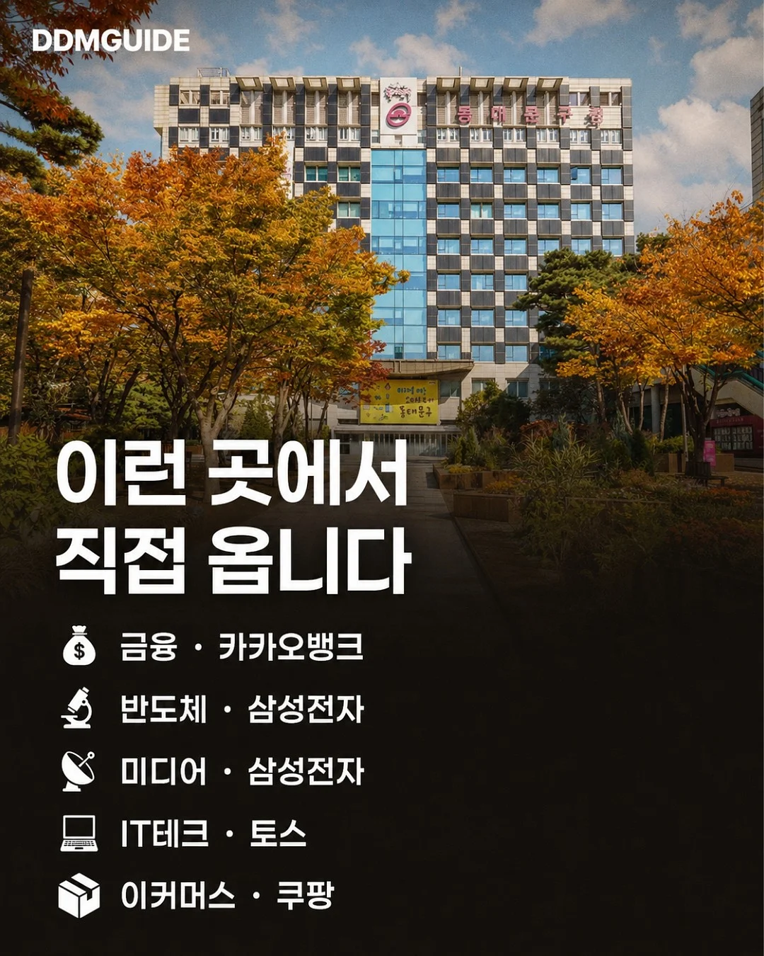 타야 콤부차 3