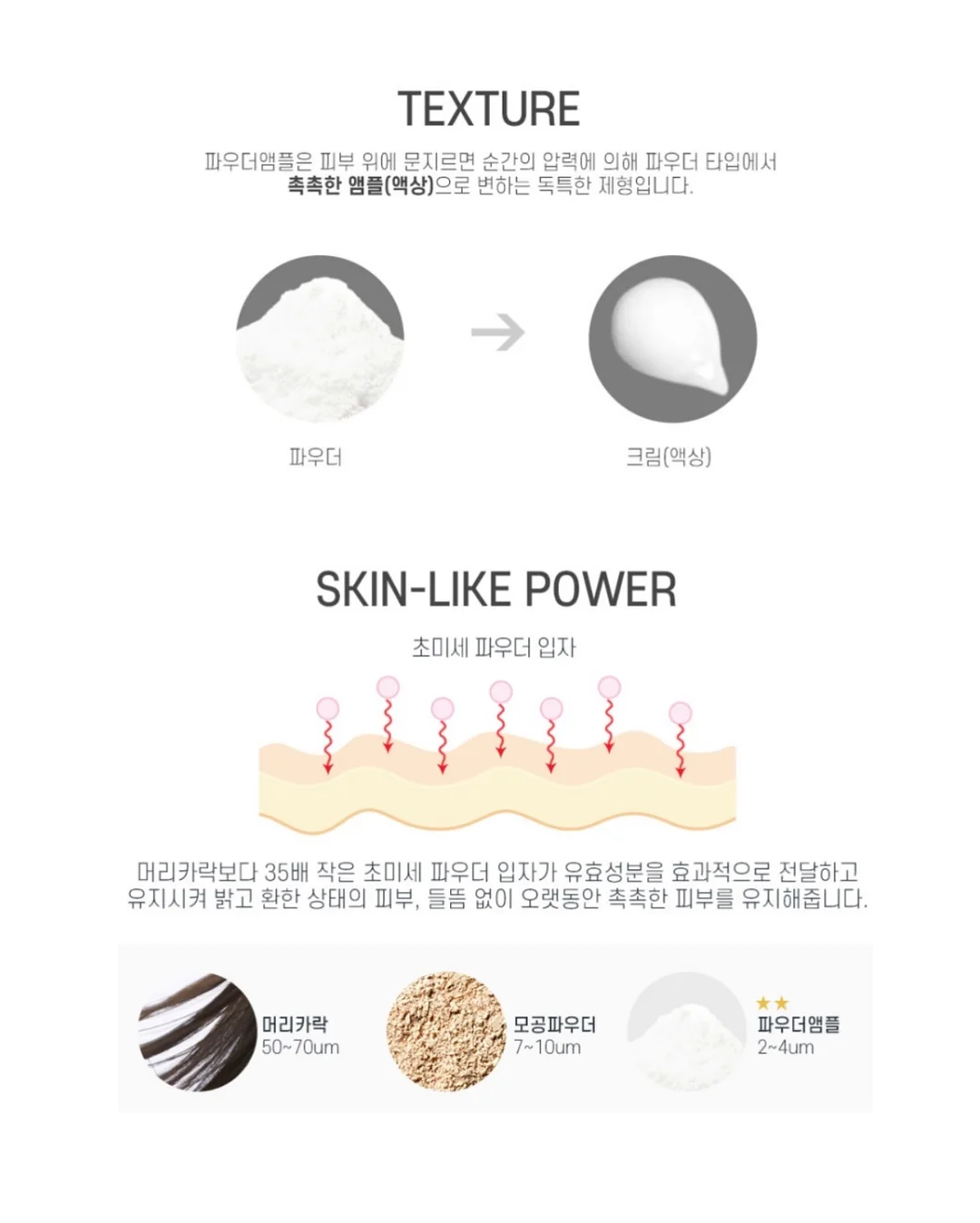 파타고니아 반팔 6