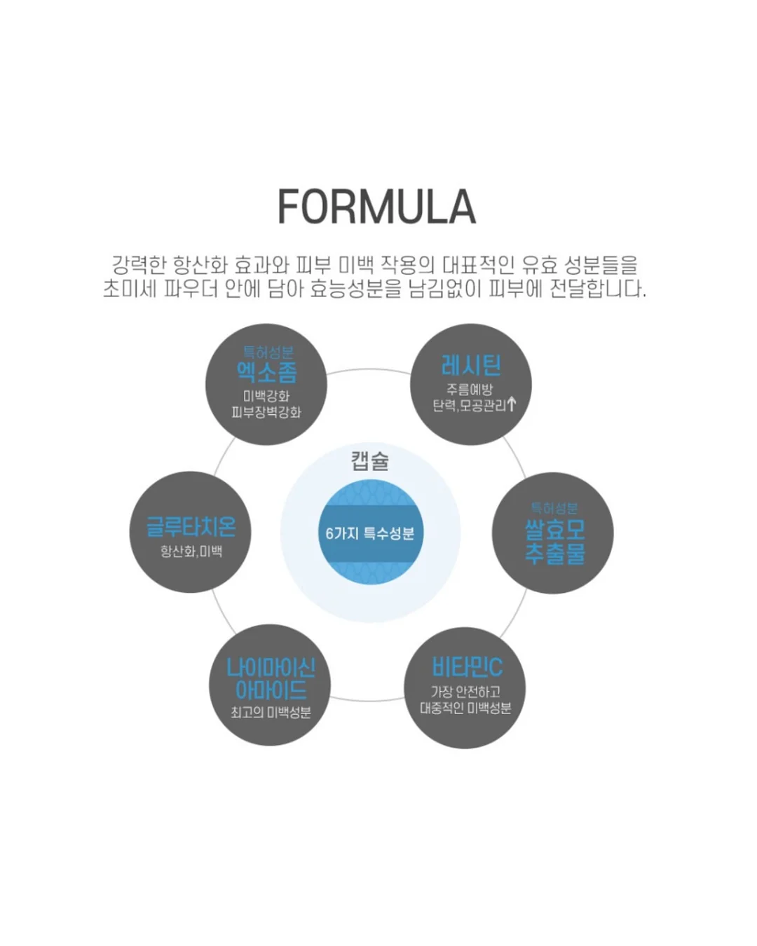 파타고니아 반팔 9