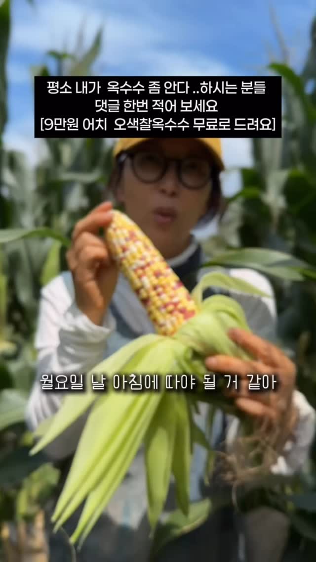 제이룸 쿨링와이드건빵