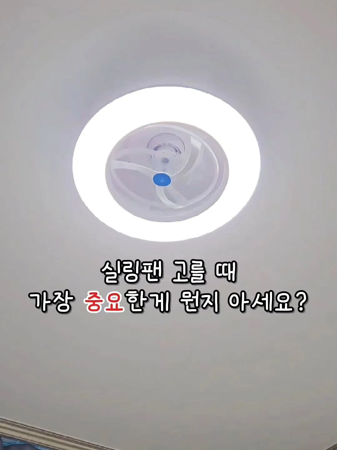 꿀스틱 선물세트 2